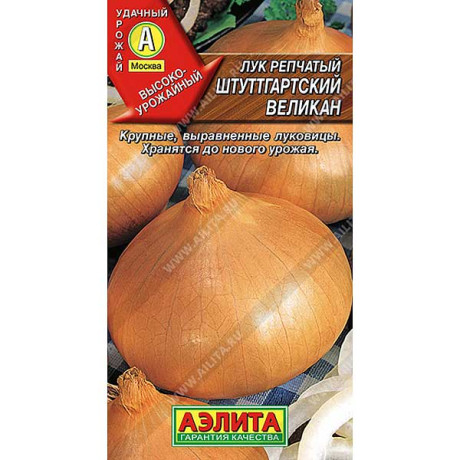 Лук Штуттгартский великан репч. Аэлита Ц