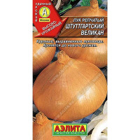 Лук Штуттгартский великан репч. Аэлита Ц