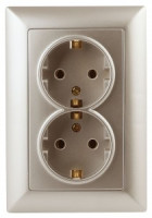 ЭРА Intro Solo роз. СУ 2 мест.земля 16А IP20, шампань 6342