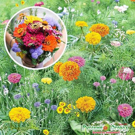 Газон Летний букет  НК Ц