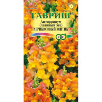 Львиный зев Абрикосовый зонтик Гавриш Ц