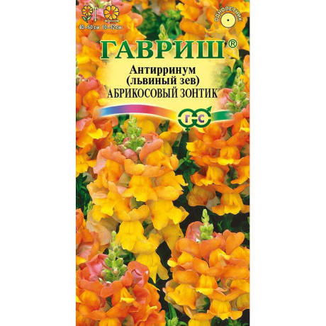 Львиный зев Абрикосовый зонтик Гавриш Ц