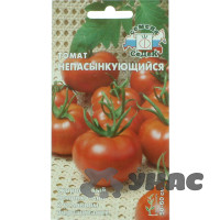 Семена Томат Непасынкующийся Седек