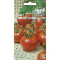Семена Томат Непасынкующийся Седек