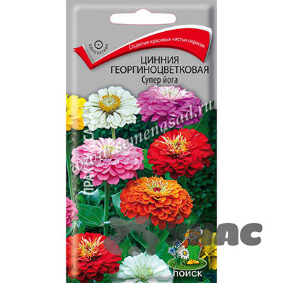 Циния Супер йога Поиск Ц