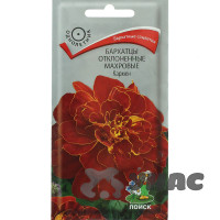 Бархатцы Кармен Поиск Ц