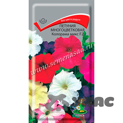 Петуния Колорама микс многоцветковая Поиск Ц