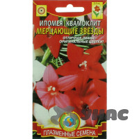 Ипомея Квамоклит Мерцающие звезды  Плазма Ц