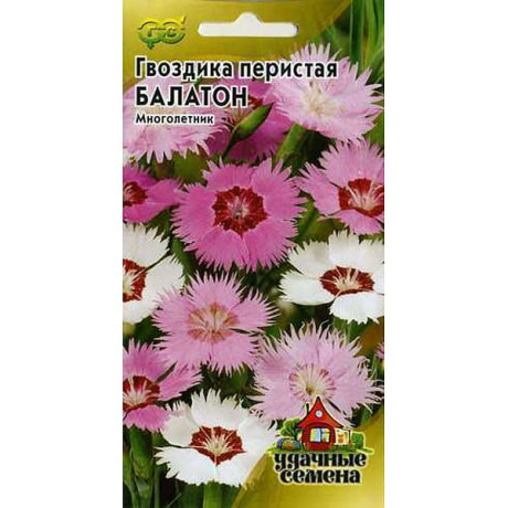 Гвоздика перистая Балатон Удачные Семена Гавриш Ц