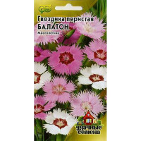 Гвоздика перистая Балатон Удачные Семена Гавриш Ц
