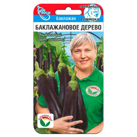 Баклажан Баклажановое дерево СибСад Ц