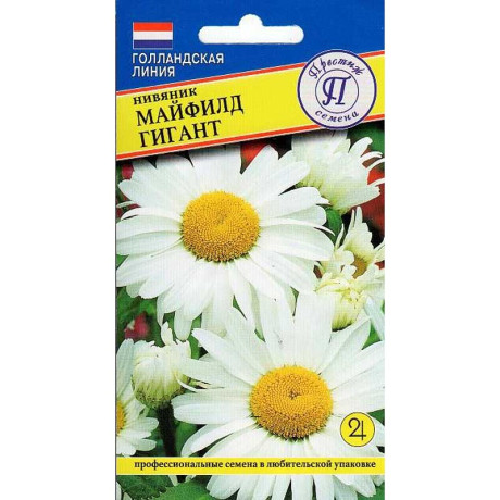 Нивяник Майфилд гигант Престиж Ц