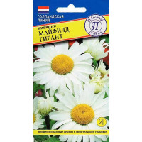 Нивяник Майфилд гигант Престиж Ц