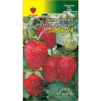 Земляника Любаша ремонт. ЦветСад Ц