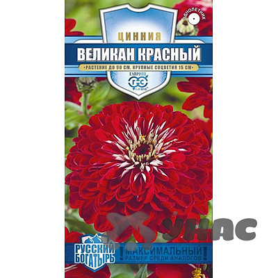 Циния Великан красный Гавриш Ц