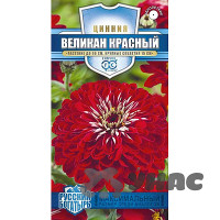 Циния Великан красный Гавриш Ц