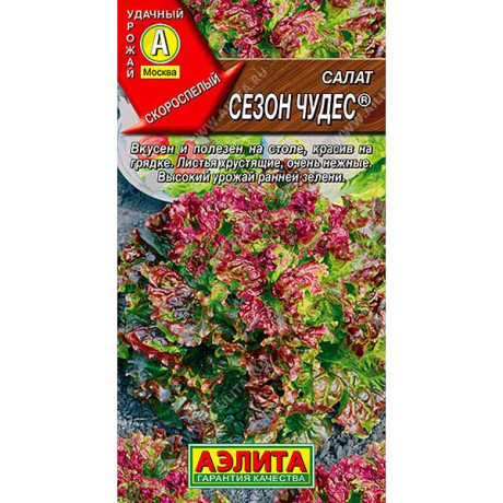 Салат Сезон чудес Аэлита Ц