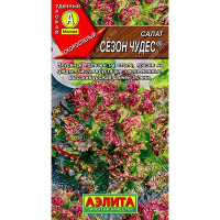 Салат Сезон чудес Аэлита Ц