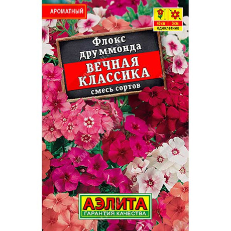 Флокс Вечная классика Лидер Аэлита Ц