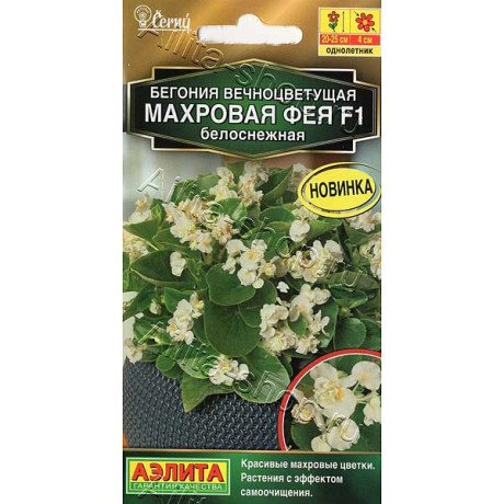 КОМ Бег Фея белоснежная Аэлита Ц х10