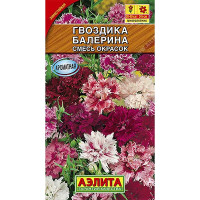 Гвоздика Балерина перистая махровая Аэлита Ц