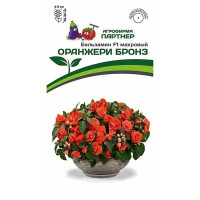 Бальзамин Оранжери Бронз Партнер Ц
