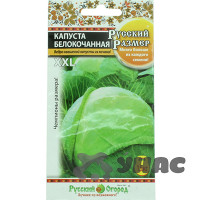 Капуста Русский размер (белокочанная) НК Ц