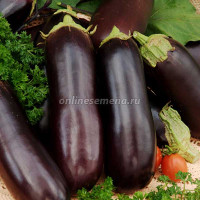 Баклажан Алмаз банка 0.5кг Поиск