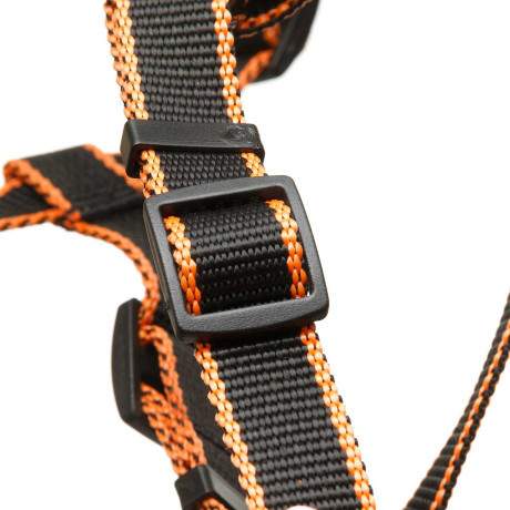 Шлея средняя капрон-ватин ширина 20 мм обхват шеи 55-65 см