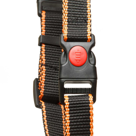 Шлея средняя капрон-ватин ширина 20 мм обхват шеи 55-65 см