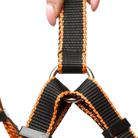 Шлея средняя капрон-ватин ширина 20 мм обхват шеи 55-65 см