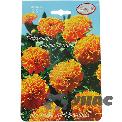 К Бархатцы Злато скифов (Германия) Каприс