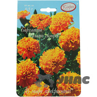 К Бархатцы Злато скифов (Германия) Каприс