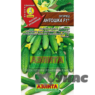 Огурец Антошка Аэлита Ц