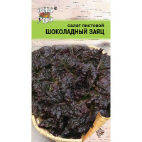 Салат Шоколадный заяц Урожай у дачи Ц