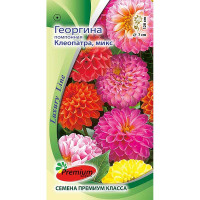 Георгин Клеопатра микс Премиум Сидс