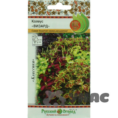 Колеус Визард смесь НК Ц