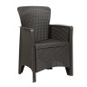 INBLOOM Кресло садовое 58х50х85см, РР