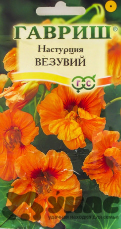 Настурция Везувий Гавриш Ц