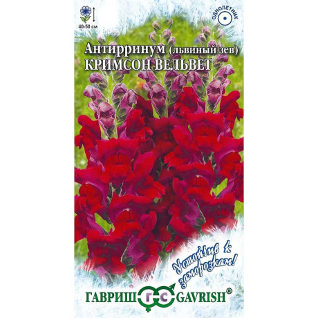 Львиный зев Кримсон Вельвет Гавриш Ц
