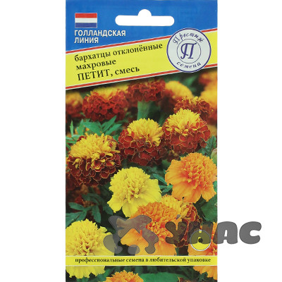 Бархатцы Петит смесь Поиск Ц