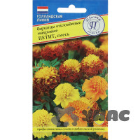 Бархатцы Петит смесь Поиск Ц