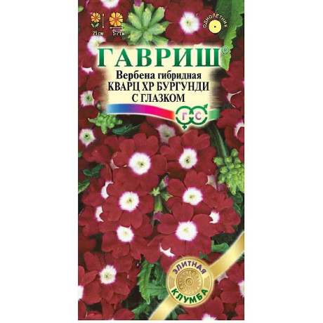 Вербена Гибридная Кварц ХР Бургунди с глазком Гавриш Ц