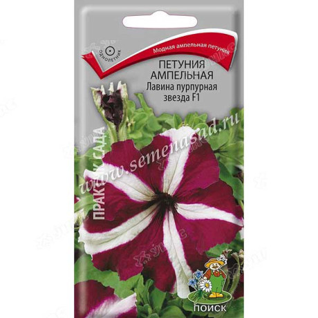 Петуния Лавина пупрурная звезда Поиск Ц