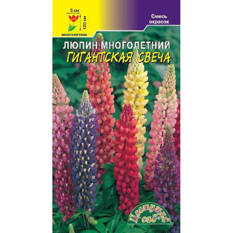 Люпин Гигантская Свеча смесь ЦветСад Ц