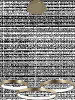 Rivoli Люстра упр. св/д Clara 6125-101 86W(6450lm) 3000K-6000K 2K-4K-6K ПДУ 520х520х1200 61835