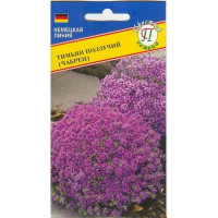 Тимьян ползучий Престиж Ц