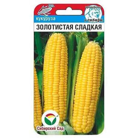 Кукуруза Золотистая сладкая СибСад Ц