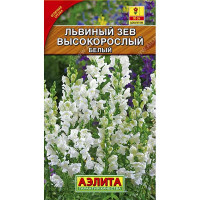 Львиный зев Высокорослый белый Аэлита Ц