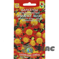 Бархатцы Оранжевое пламя Плазма Ц